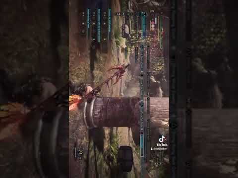 dps and healer insect glaive build