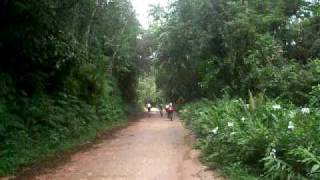 preview picture of video 'Estrada da cachoeira do Pitu Cananéia'