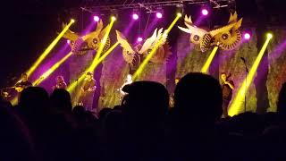 Trampled by Turtles- New Orleans