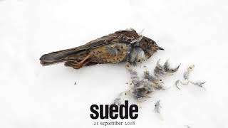 Download lagu Suede - The Blue Hour (Trailer 1) mp3