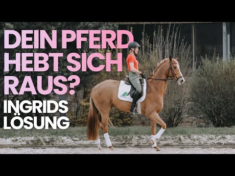 Was tun, wenn sich das Pferd heraushebt? | Ingrid Klimke gibt Tipps