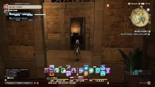 【FF14】#3 初めてのFF！エレDC/Uni鯖
