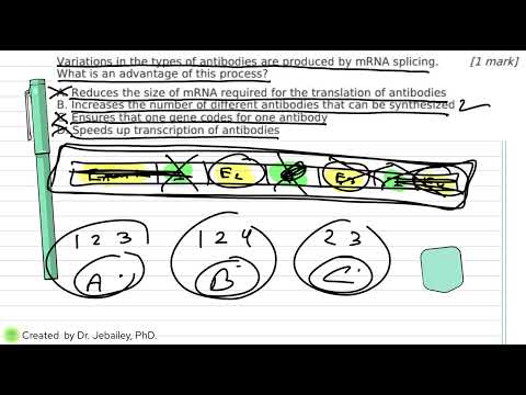 Topic 7.2  Multiple Choice