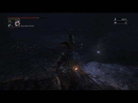 Steam Community :: Video :: Bloodborne™ Rotted Lower Hintertomb Boss ...