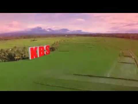 KBS(Koster Bali Satu)