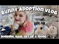 ADOPTING A NEW BUNNY MEET JACK Adoption Vlog