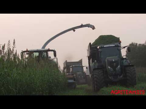 Claas Jaguar 970 tipe 498 - Fendt 828 & 818 - New Holland TD5 | Team Casiraghi | agriteam323