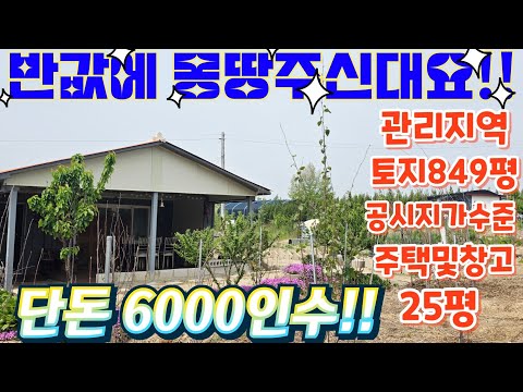땡처리.헐값~경기도.산밑자락~ 전원 주택.집터849평.소형주택.…