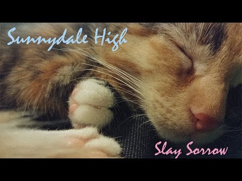 Sunnydale High - Slay Sorrow