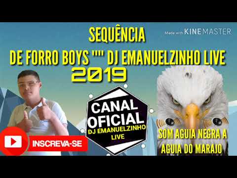 SEQUENCIA DE FORRO BOYS 2019 / DJ EMANUELZINHO LIVE