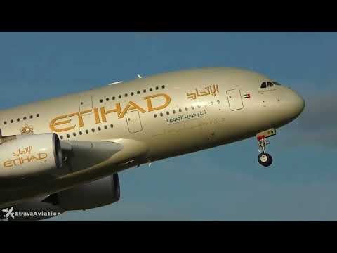 OS REIS DO CALYPSO PARAENSE