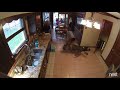 Vicious Dog Fight German Shepherds Going At It