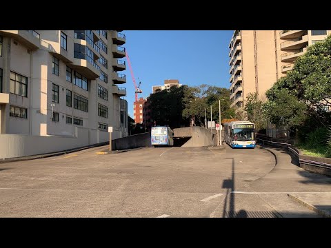 2190ST Transport Vlog 214: [Transdev John Holland] Edgecliff Bus Spotting
