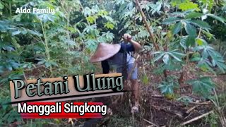 Download lagu petani ulung - menggali singkong || ALDA FAMILY || ALIKA || KEMBAR AFIFA DAN AZIZA mp3 Download lagu petani ulung - menggali singkong || ALDA FAMILY || ALIKA || KEMBAR AFIFA DAN AZIZA mp3