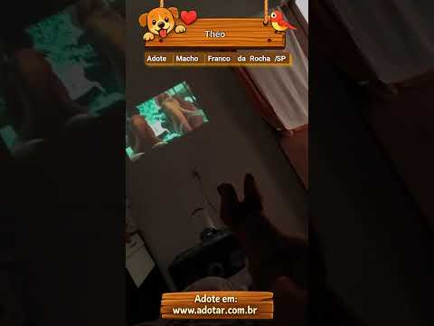 Vídeo de Théo 