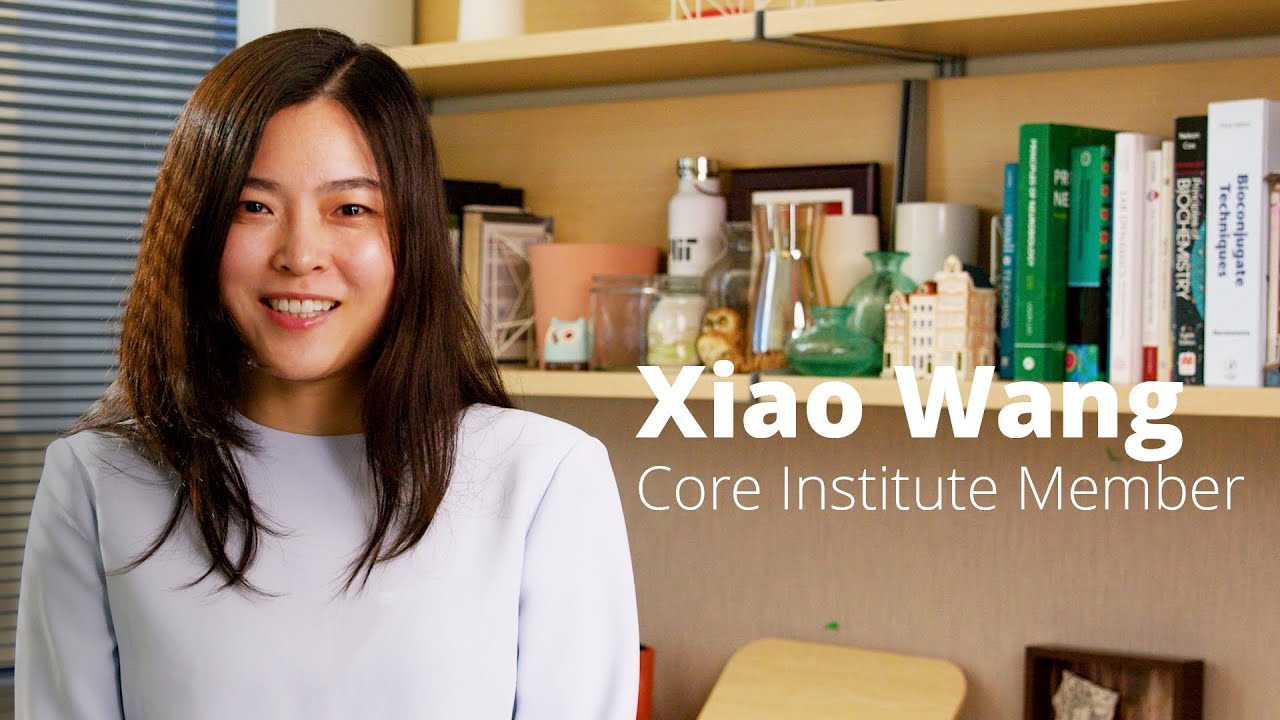 Xiao Wang - Core Institute Member