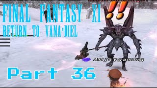 Return to Vanadiel in 2024: Part 36; The Flying Eye and Dynamis Xarcabard