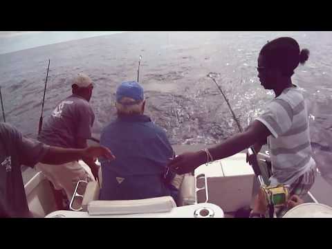 Game Fishing in Antigua 2013