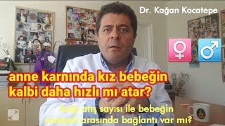 Anne karnındaki bebeğin kalp atış sayısı ile cinsiyeti arasında bir ba