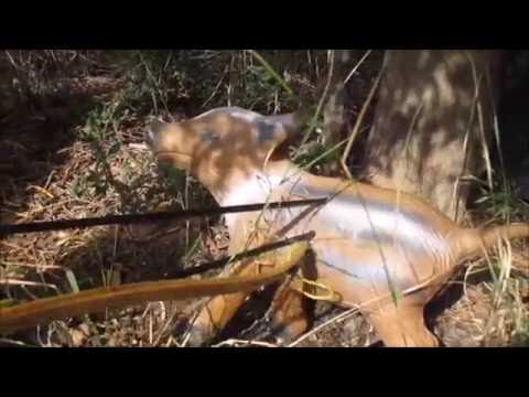 Malta Archery: Mini 3D-Parkour - test run