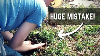 Do NOT Make THIS Mistake When Planting A Garden