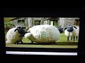 Shaun The Sheep Buzz Off Bees
