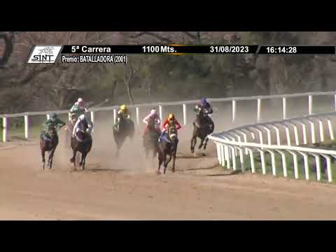 230831 c05 1° FREEDOM OF SPEECH (BRZ)