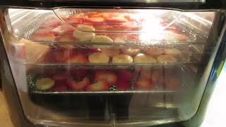 Dehydrating Strawberries and Bananas in the Power AirFryer Pro