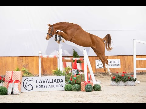 15. UNTOUCHABLE HEART (URIKO X VA-VITE)