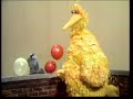 Sesame Street Big Bird Balloon