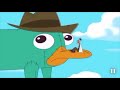 The Best "A Platypus? PERRY THE PLATYPUS!?" Compilation