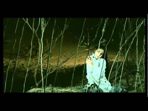 Hư hao - Hoàng Lan