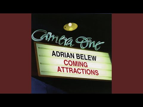 Video thumbnail for Bird in a Box