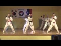 TAEKWONDO DEMONSTRACIJA 1