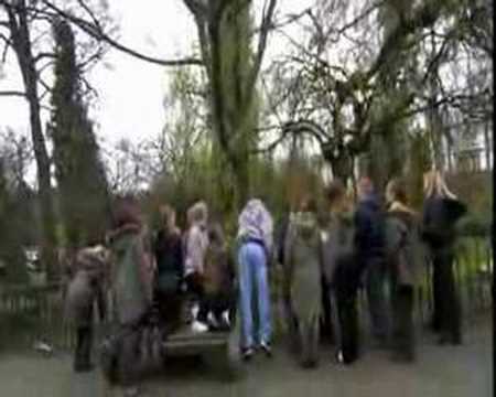 YouTube video