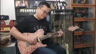 Video thumbnail for Shijie PD-TLM by Shijie Guitars