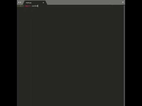 Python Backdoor Part 1 Socket Introduction