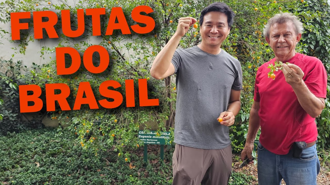 Native Fruit Trees of Brazil
