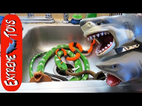 The Snakes Return! Toy Sharks Save Boys from the Toy Snake Invasion. Video