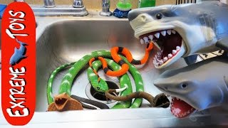 The Snakes Return! Toy Sharks Save Boys from the Toy Snake Invasion.