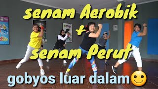 Download lagu Aerobics Abdominal Exercises | Fat Burning Exercises | tinydance mp3 Download lagu Aerobics Abdominal Exercises | Fat Burning Exercises | tinydance mp3
