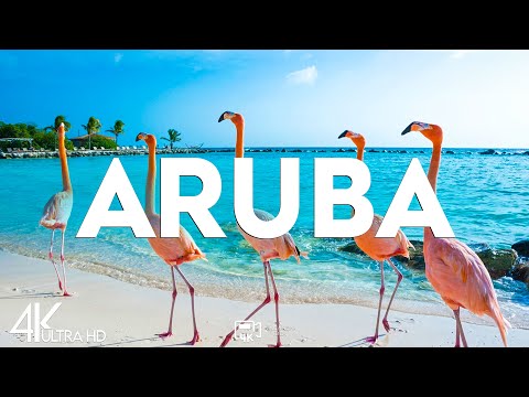 Top 10 Best Things to do in Aruba [Aruba Travel Guide 2025]