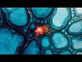 Mesmerizing Liquid Art in Motion 🌊 | Hypnotic Colors & Cells with Spring of Deception