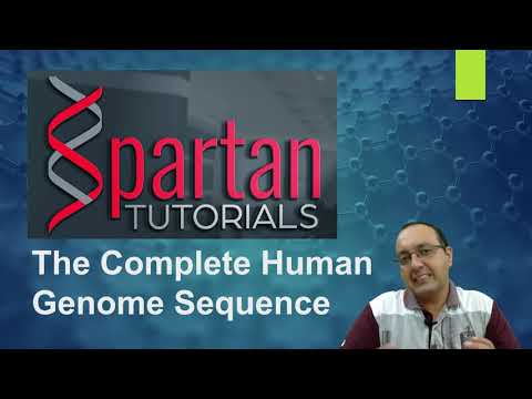 Filling in the gaps in Human Genome Sequence