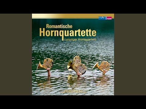 Grand Quatuor für vier Hörner in verschiedenen Stimmungen, Op. 26: II. Andante con moto