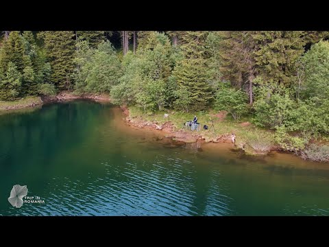 Trip in Romania #15: Shai T @ Bolboci Lake, Dâmbovița
