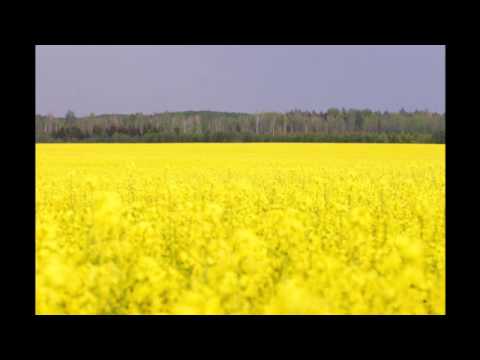 Liepājas Brāļi - Par to gadījumu ar Džordano Bruno