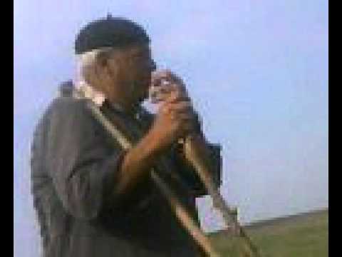 Un tap de lisa cu vacile  by 7 torje lisa