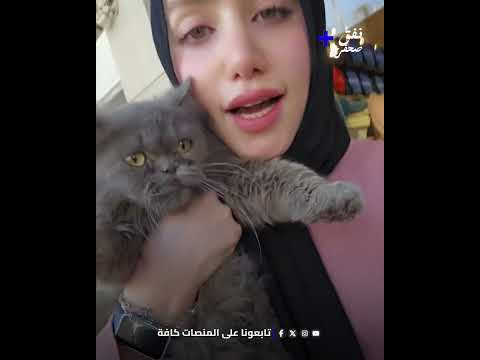 رمتها الحامل عند باب العيادة وسألت عنها! 😿💔 تصرف غير مسؤول يفجر غضب صاحبة عيادة قطط