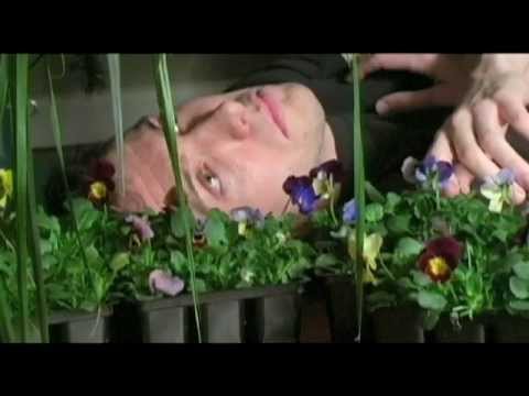 AVATAR Destroys Lives [trailer] Post-Avatar Depression